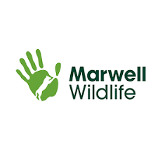 Marwell Wildlife